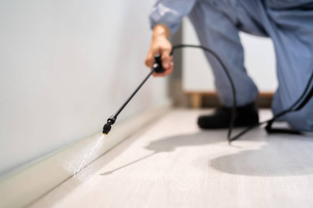 Best Pest Prevention Services  in Yardville, NJ