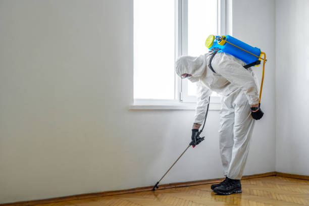 Best Termite Control Services  in Yardville, NJ