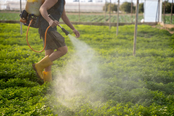 Best Local Pest Control Services  in Yardville, NJ