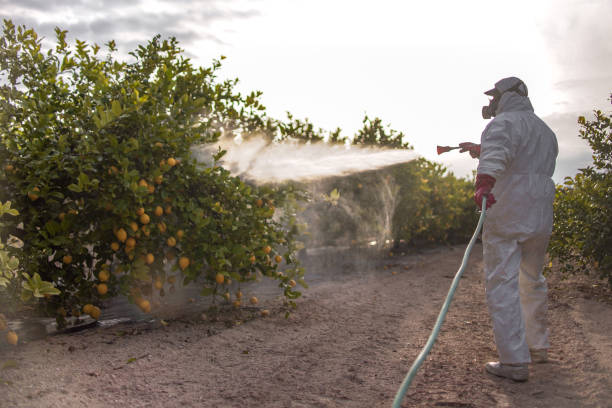 Best Best Pest Control Companies  in Yardville, NJ